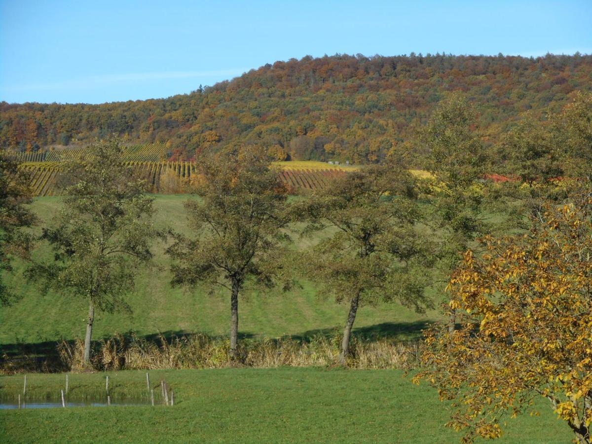 Pension Zur Traube 3 Sterne Oberschwarzach Luaran gambar